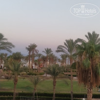 фото из отзыва ID 2725113