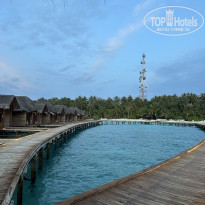 фото из отзыва ID 2725123