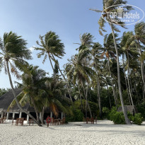 фото из отзыва ID 2725123