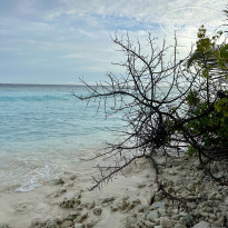 фото из отзыва ID 2725123