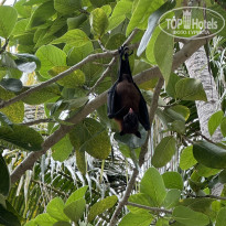 фото из отзыва ID 2725123