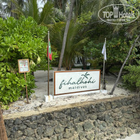 фото из отзыва ID 2725123