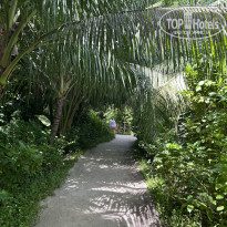 фото из отзыва ID 2725110