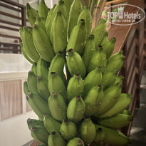 фото из отзыва ID 2725110