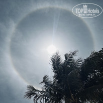 фото из отзыва ID 2725110