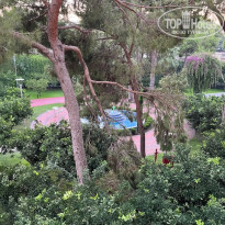 фото из отзыва ID 2725158