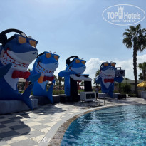 фото из отзыва ID 2725174