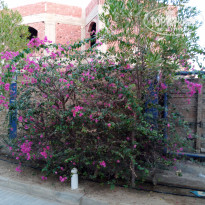 фото из отзыва ID 2725217