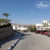 фото из отзыва ID 2725217