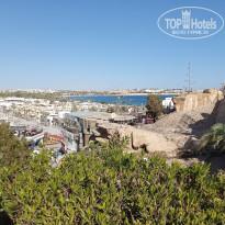 фото из отзыва ID 2725217