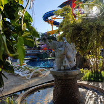 фото из отзыва ID 2725198