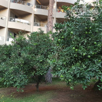 фото из отзыва ID 2725220