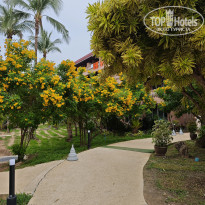 фото из отзыва ID 2725198