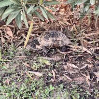 фото из отзыва ID 2725226