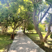 фото из отзыва ID 2725226