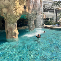 фото из отзыва ID 2725226