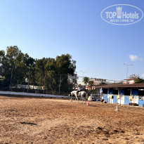 фото из отзыва ID 2725226