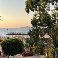 фото из отзыва ID 2725247