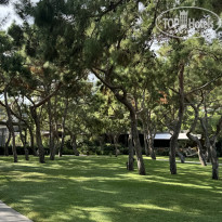 фото из отзыва ID 2725252