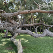 фото из отзыва ID 2725252