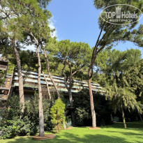 фото из отзыва ID 2725252