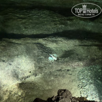 фото из отзыва ID 2725252