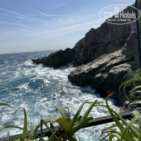 фото из отзыва ID 2725252