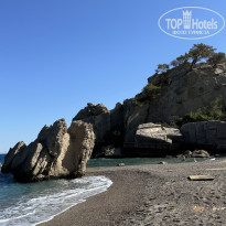 фото из отзыва ID 2725252