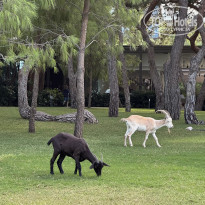 фото из отзыва ID 2725252