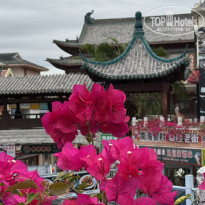 фото из отзыва ID 2725253