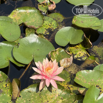 фото из отзыва ID 2725253