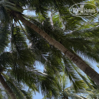 фото из отзыва ID 2725253