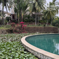 фото из отзыва ID 2725253