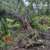 фото из отзыва ID 2725193