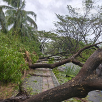 фото из отзыва ID 2725193