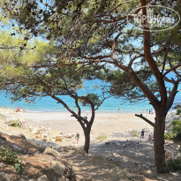 фото из отзыва ID 2725280