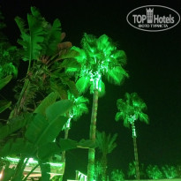 фото из отзыва ID 2725285