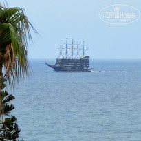 фото из отзыва ID 2725285