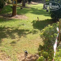 фото из отзыва ID 2725285