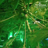 фото из отзыва ID 2725285