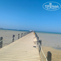 фото из отзыва ID 2725323