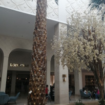 фото из отзыва ID 2725327