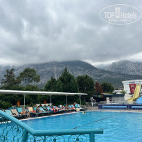 фото из отзыва ID 2725360