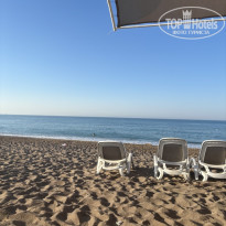 фото из отзыва ID 2725359