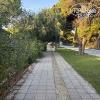 фото из отзыва ID 2725359