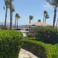 фото из отзыва ID 2725374