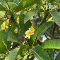 фото из отзыва ID 2725374