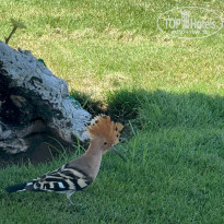 фото из отзыва ID 2725374