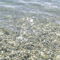 фото из отзыва ID 2724446