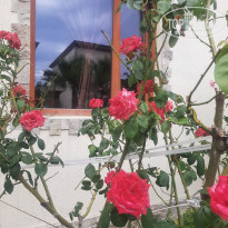 фото из отзыва ID 2724446